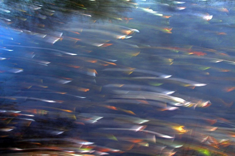 Pfarrbrief10. (c) Peter Weidemann Pfarrbriefservice.de