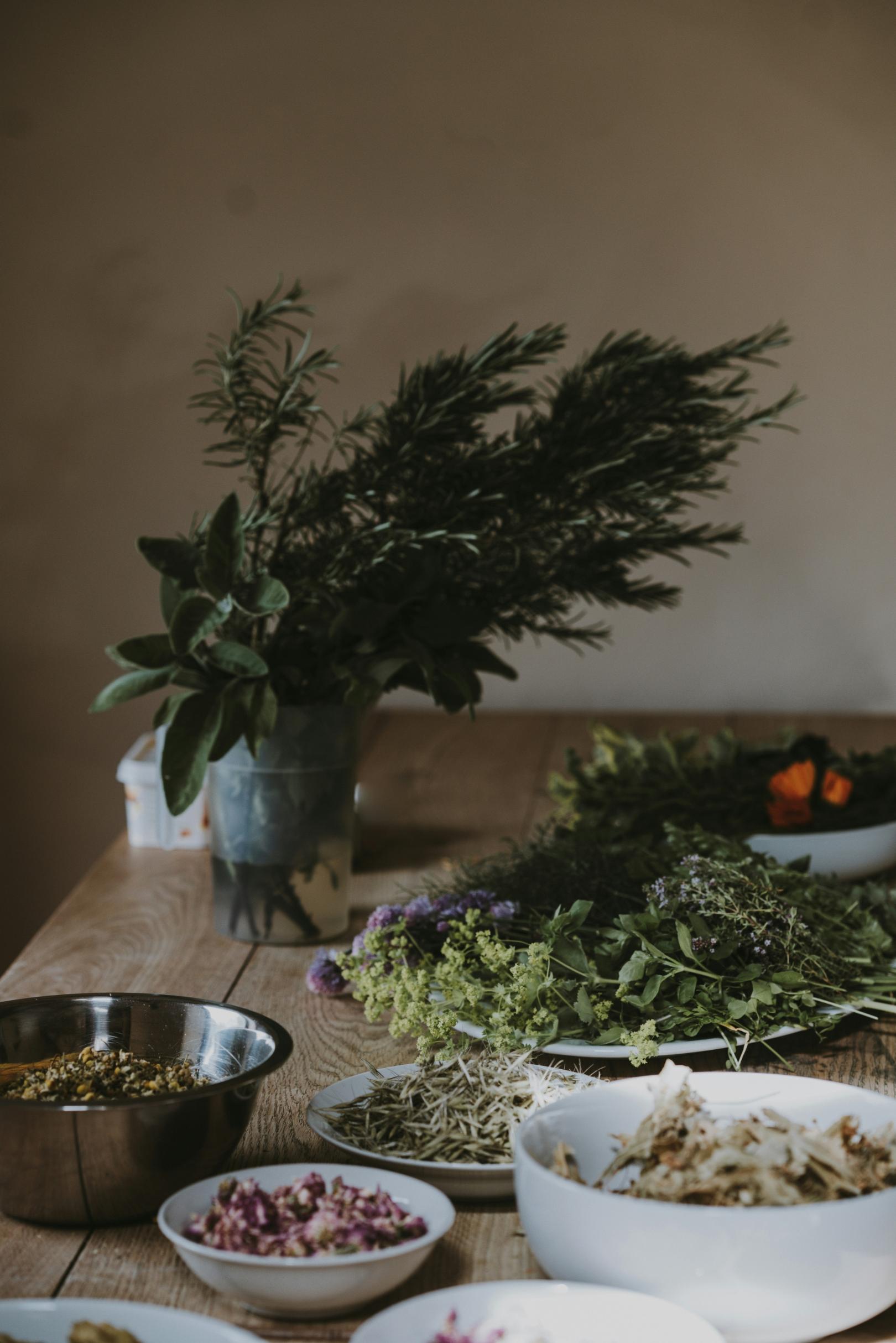 annie-spratt-PtDXMYgy418-unsplash(2) (c) annie-spratt-PtDXMYgy418-unsplash