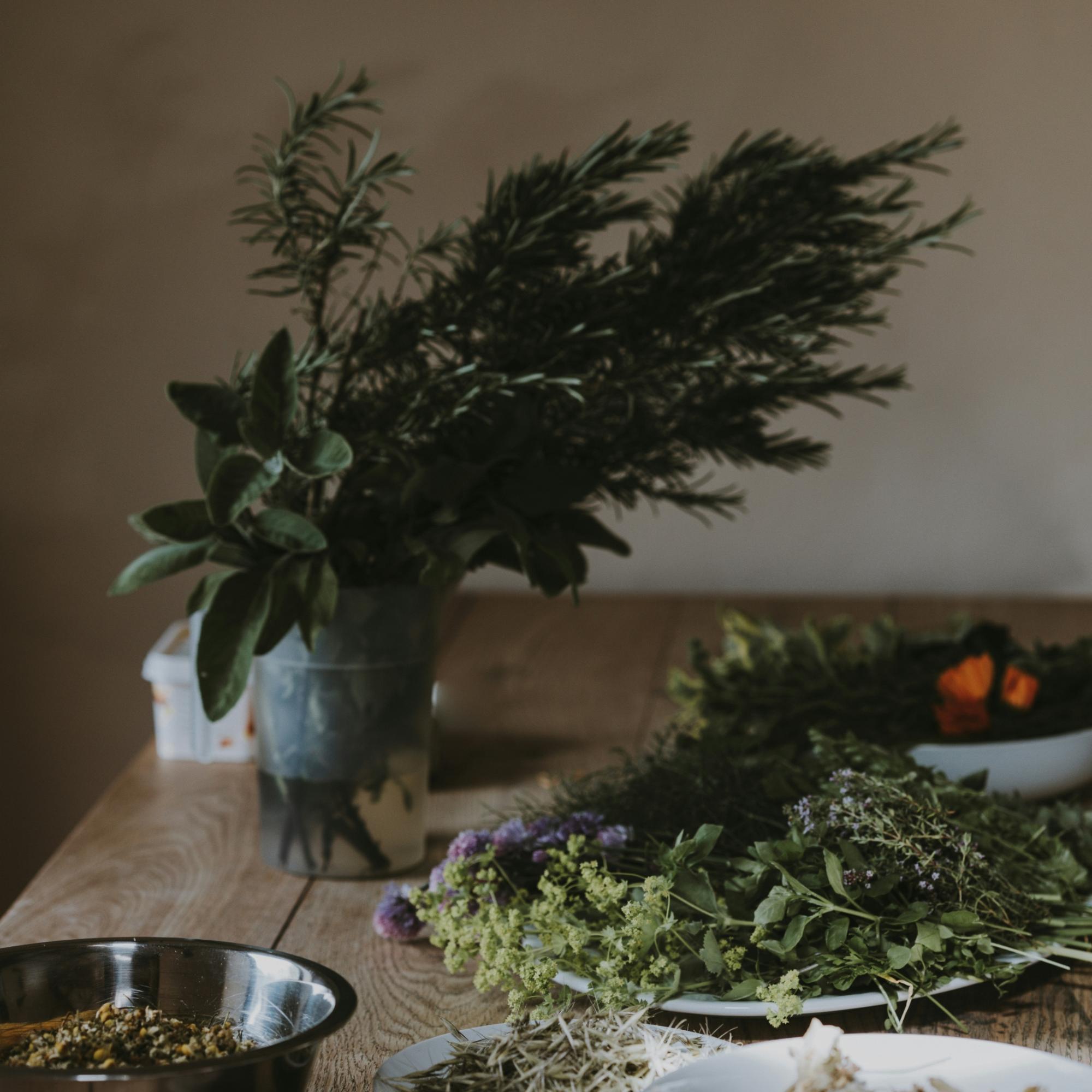 annie-spratt-PtDXMYgy418-unsplash(2)