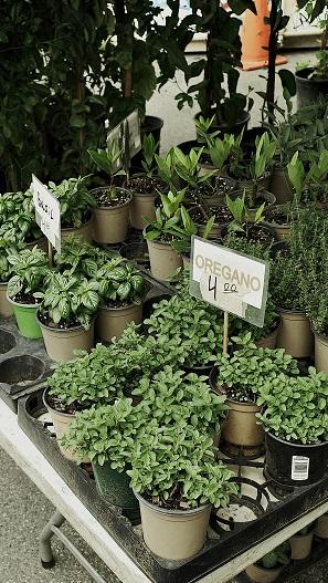 vlad-r-mJucRv-PsG0-unsplash