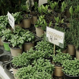 vlad-r-mJucRv-PsG0-unsplash