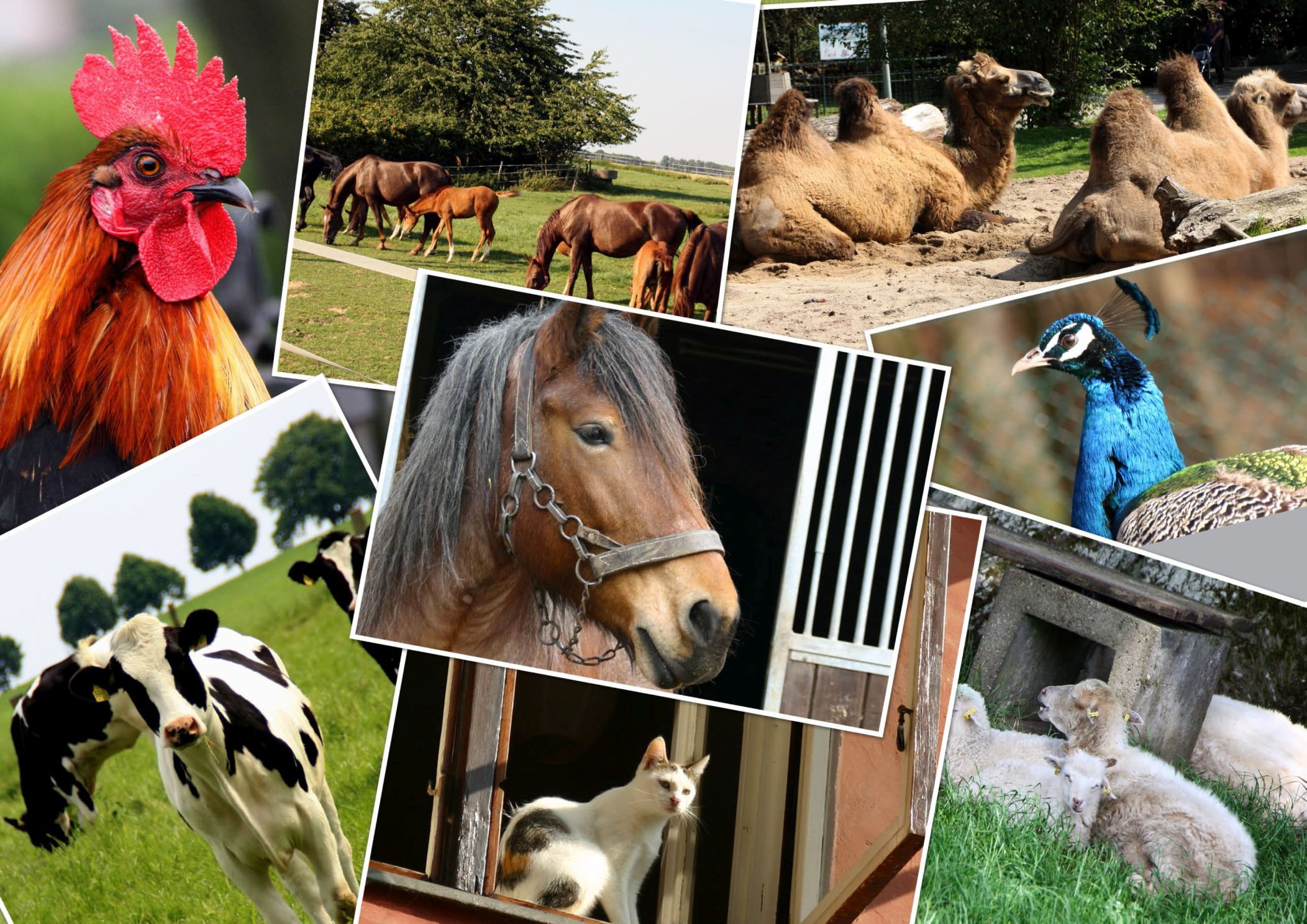 Titelbild Quiz Teil 14