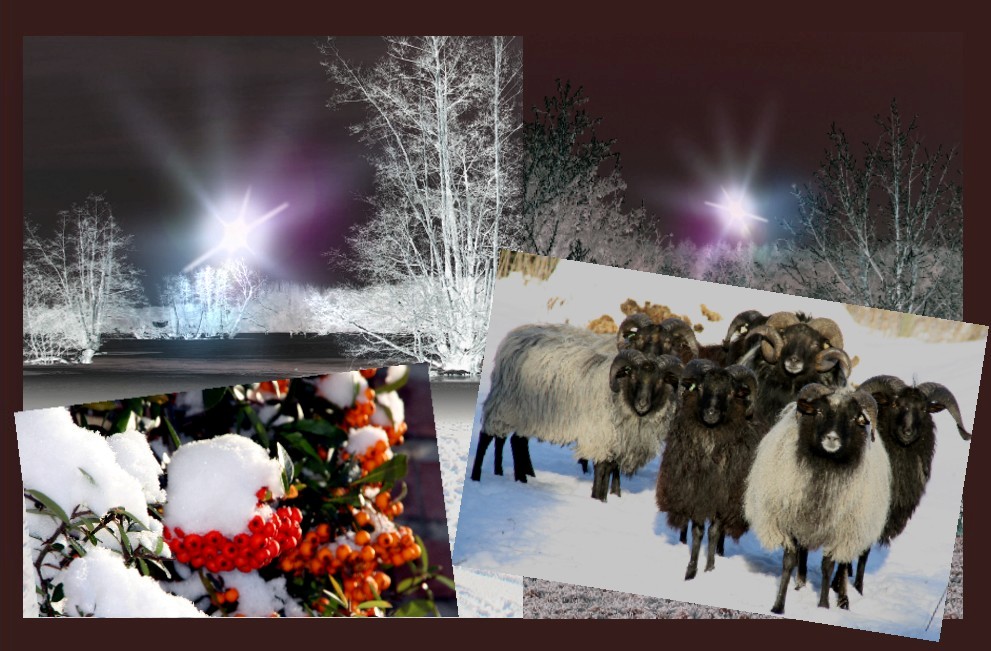 In jenen Tagen (2) - Kopie - Kopie (c) Josef Schmitz